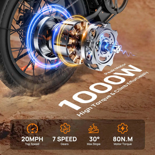 1000W E20 Electric Bike | 48V 13Ah Removable Battery, 20MPH, 20''X3" Fat Tire, 7-Speed Electric Bicycles with Dual Disc Brake